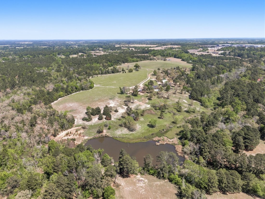 Farm Ranch in Grapeland, Texas, United States 1 - 17621150