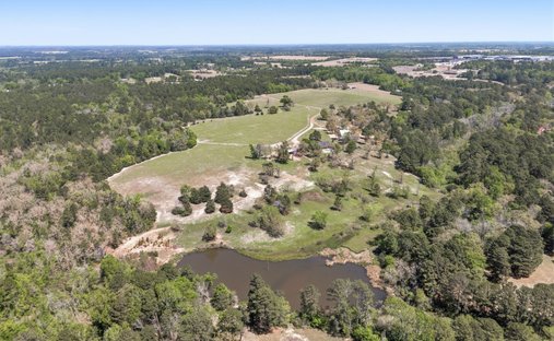 Farm Ranch in Grapeland, Texas, United States 1