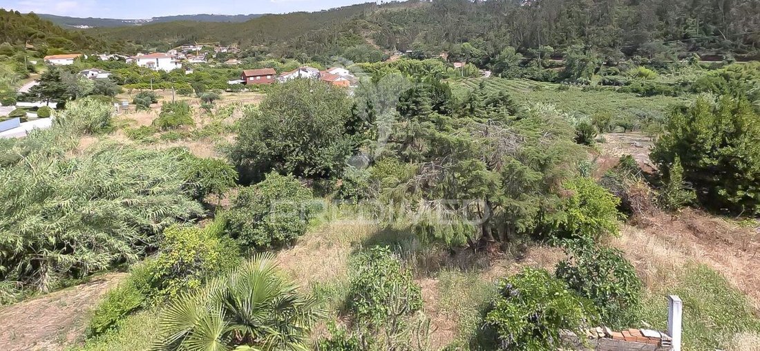 House in Almalagues, Coimbra District, Portugal 3 - 18258642