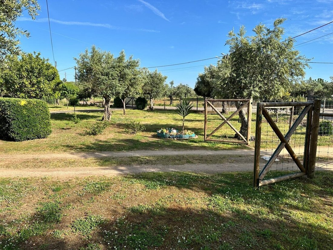 Farm Ranch in Martinchel, Santarem District, Portugal 1 - 18555548