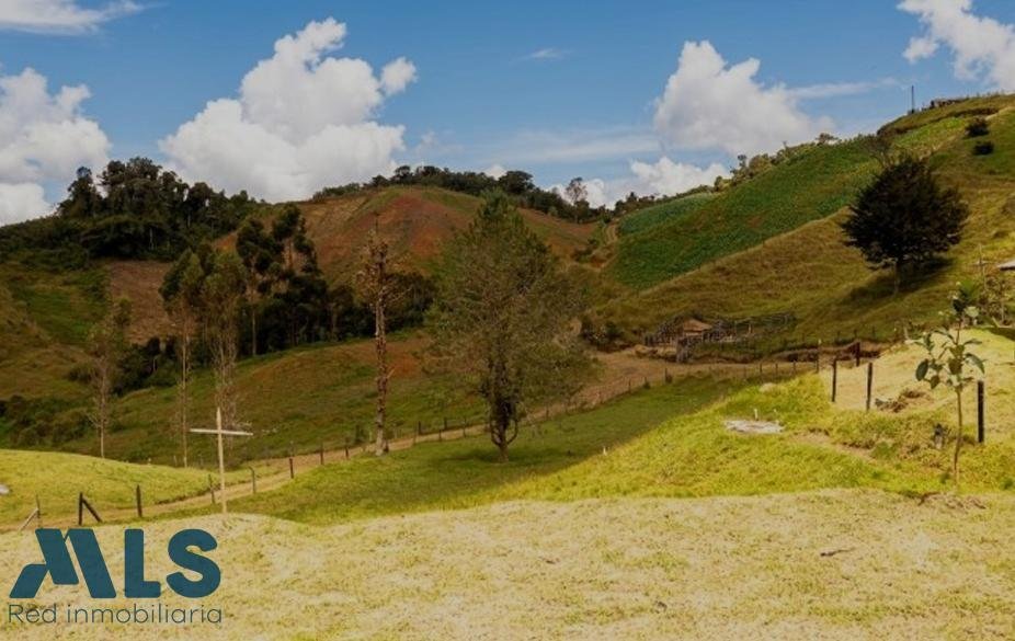 Land in Concepción, Concepción, Colombia 2 - 18555520