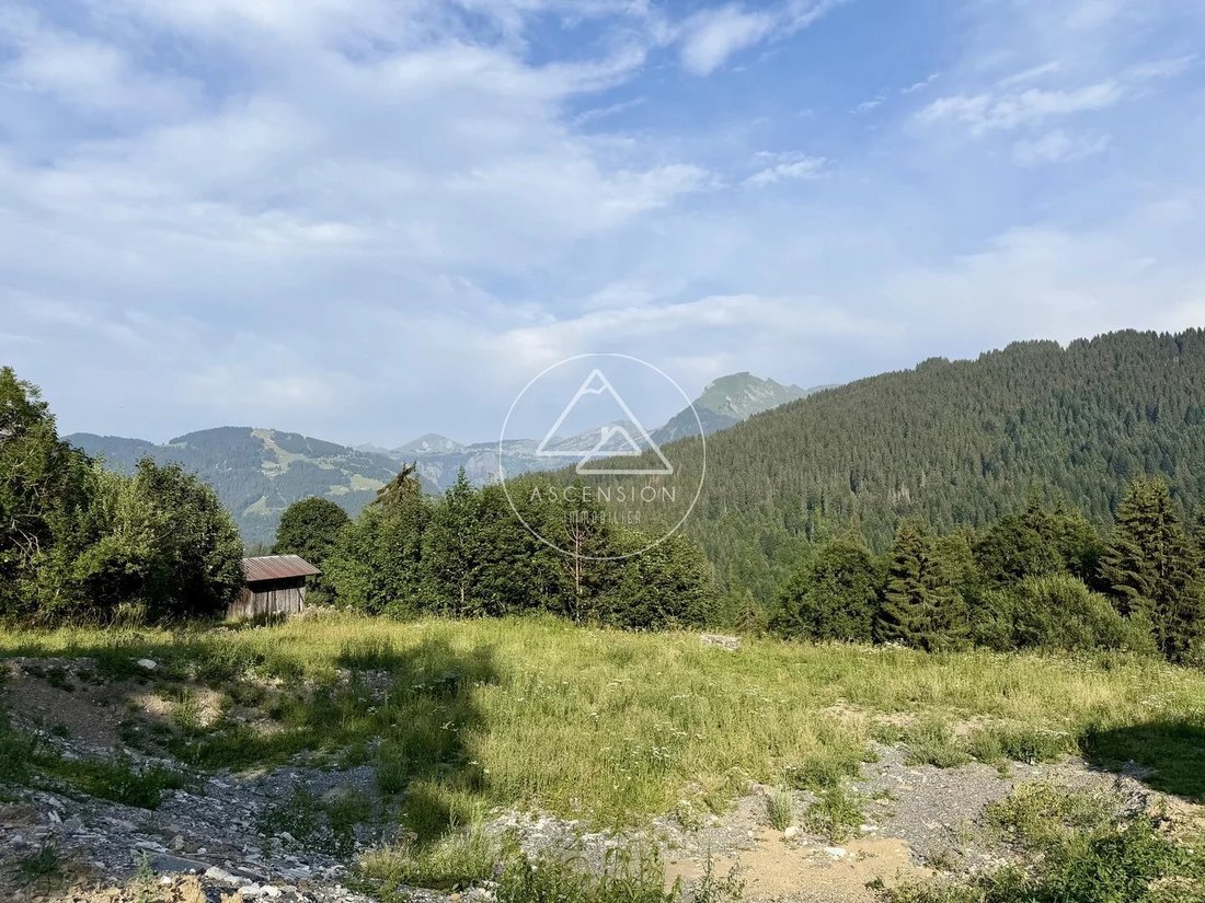 Land in Les Gets, Auvergne-Rhône-Alpes, France 1 - 18553195