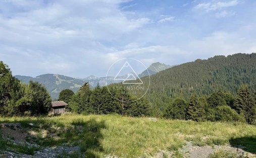 Land in Les Gets, Auvergne-Rhône-Alpes, France 1