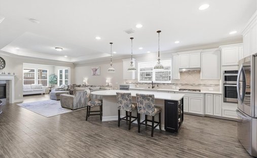 Maison à Frisco, Texas, États-Unis 1