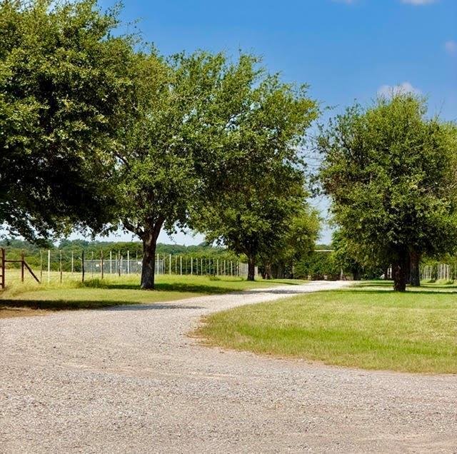 Farm Ranch in Bowie, Texas, United States 5 - 18555441