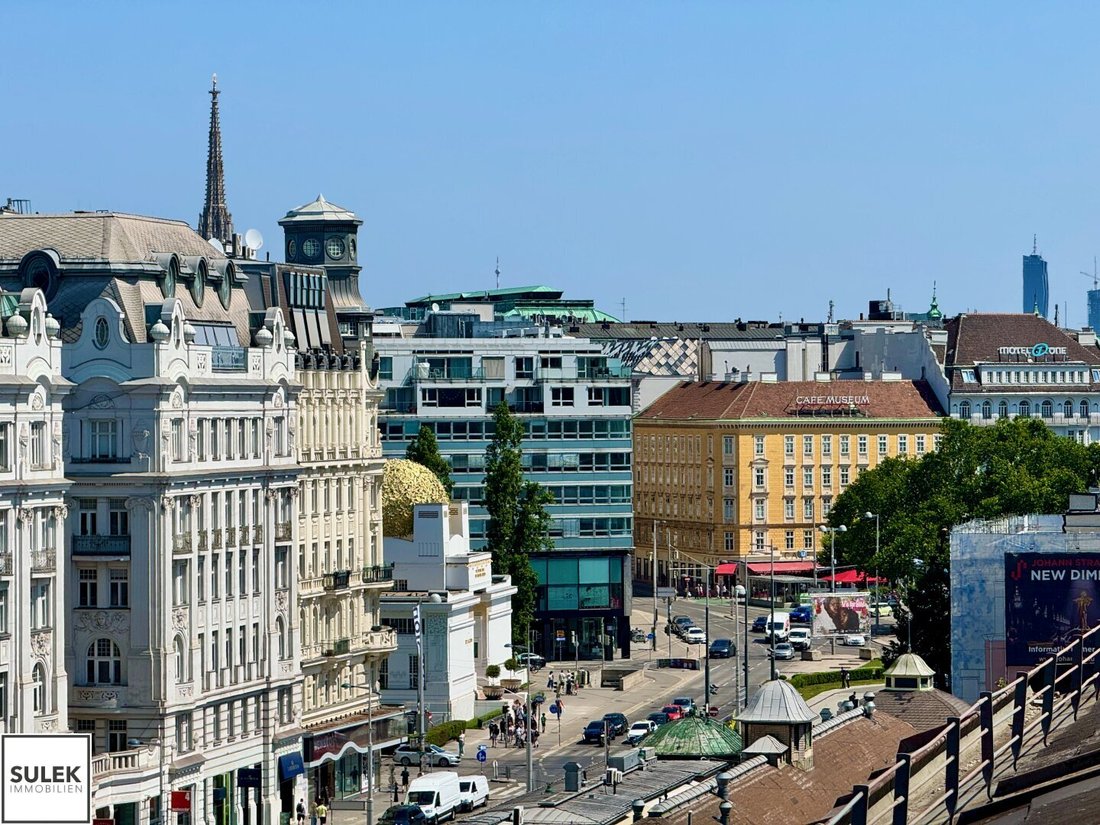 Penthouse in Vienna, Wien, Austria 5 - 18556089