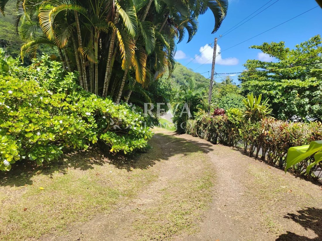 House in Huahine, Leeward Islands, French Polynesia 2 - 18031270