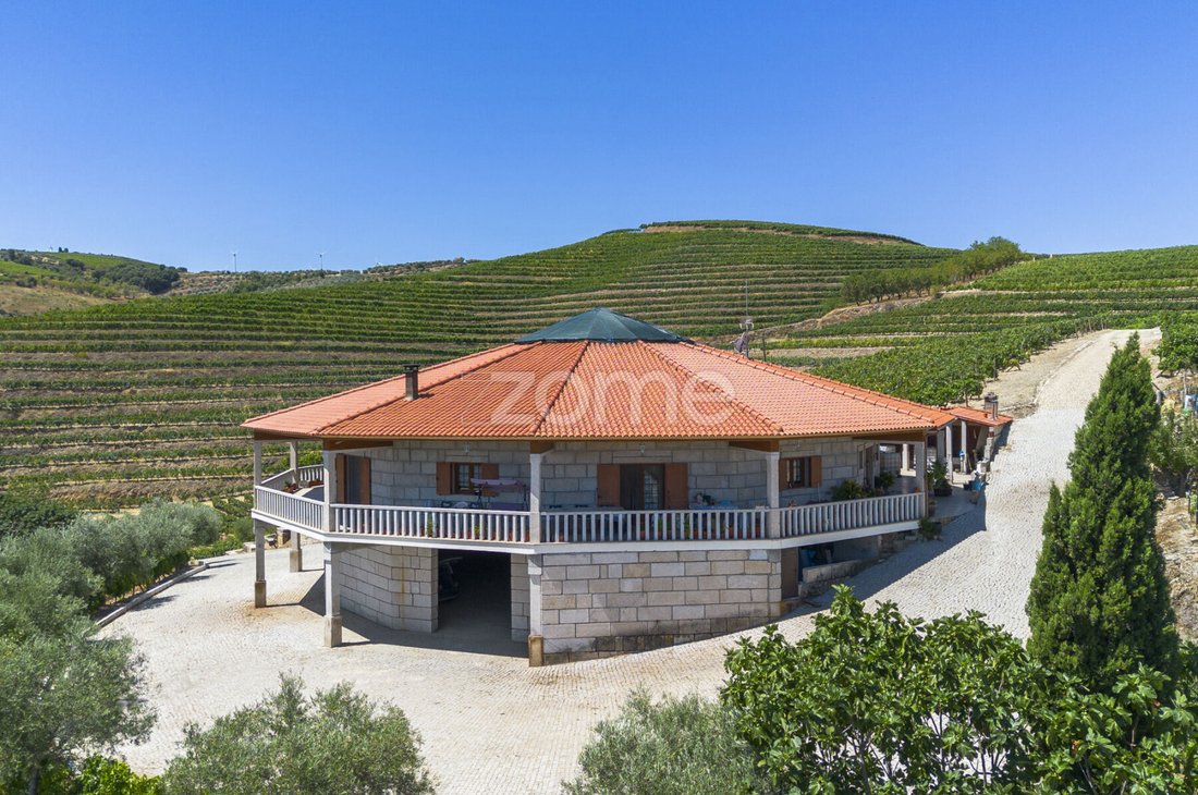 Finca in Valongo dos Azeites, Viseu District, Portugal 5 - 18563391