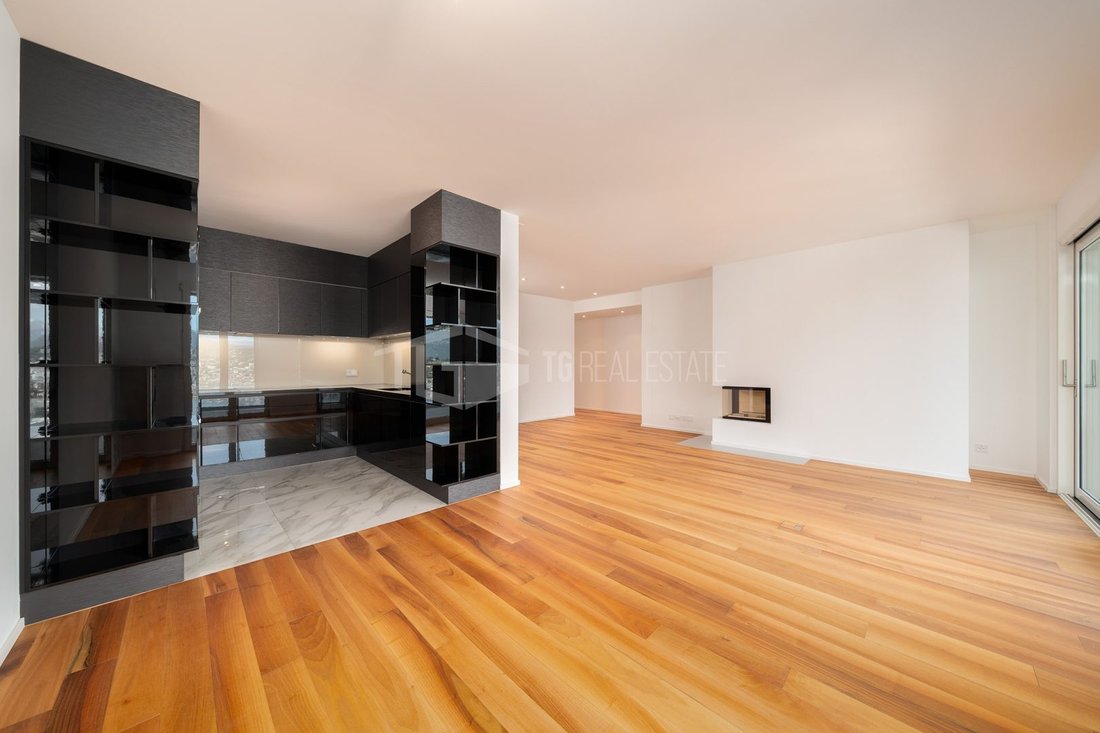 Apartment in Paradiso, Ticino, Switzerland 5 - 18558032
