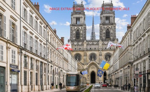 Apartamento en Activités, Orleans, Francia 1