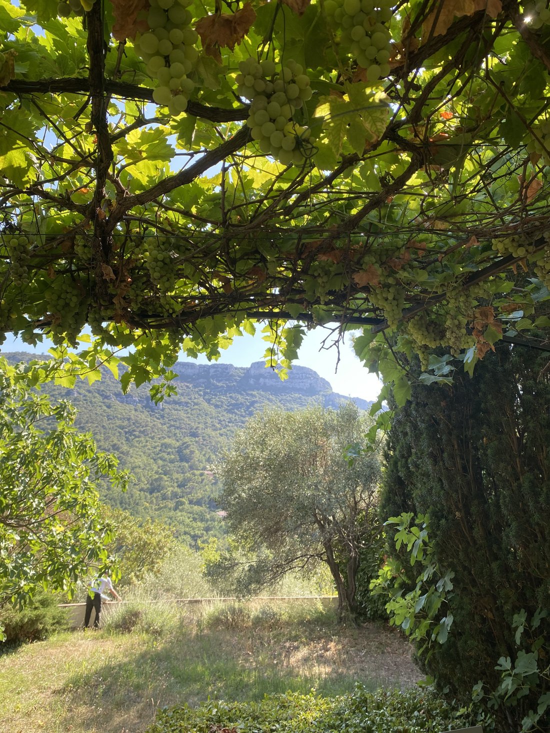 House in Mimet, Provence-Alpes-Côte d'Azur, France 1 - 18503817