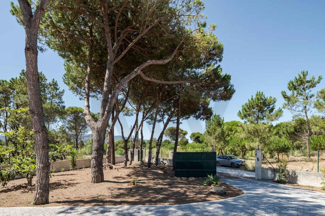 Land in São João das Lampas, Lisbon, Portugal 2 - 18566096