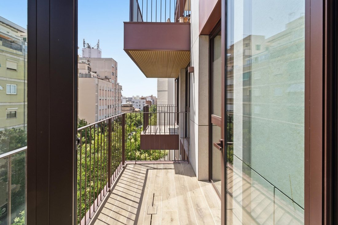 Apartment in Palma, Balearic Islands, Spain 1 - 18558632