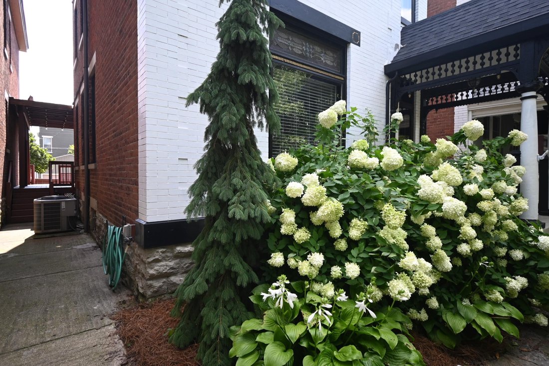 House in Newport, Kentucky, United States 4 - 18558847
