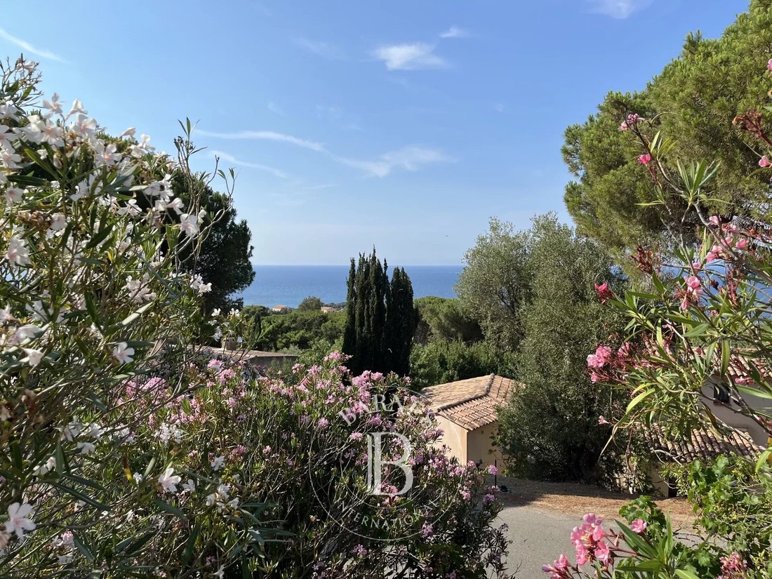 Villa in Corbara, Corsica, France 1 - 18559737