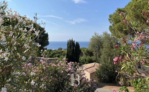 Villa in Corbara, Corsica, France 1