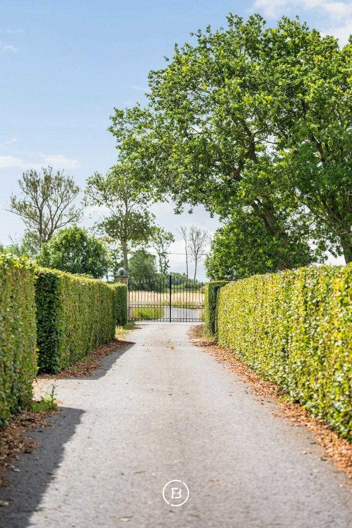 Estate in Middelkerke, Flanders, Belgium 2 - 18558297