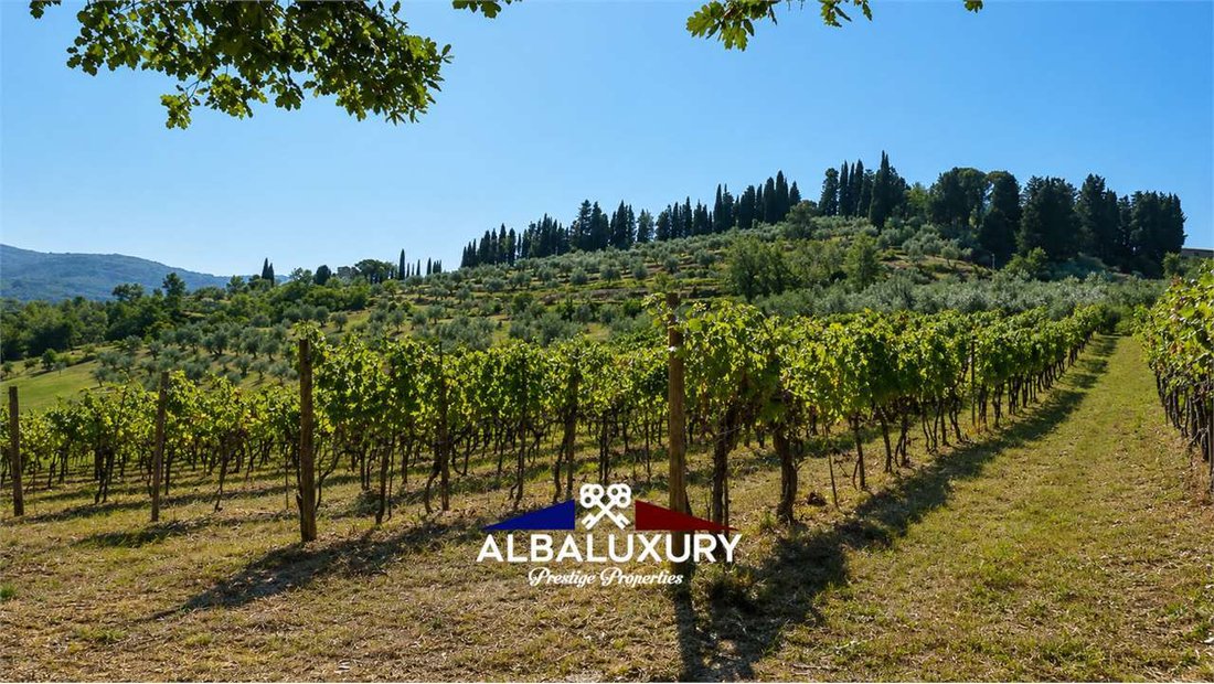 Villa in Greve in Chianti, Tuscany, Italy 3 - 18562735