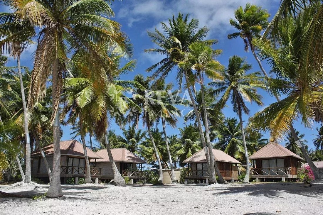 Manihi, The Tuamotu and Gambier Islands, French Polynesia 1 - 15087241