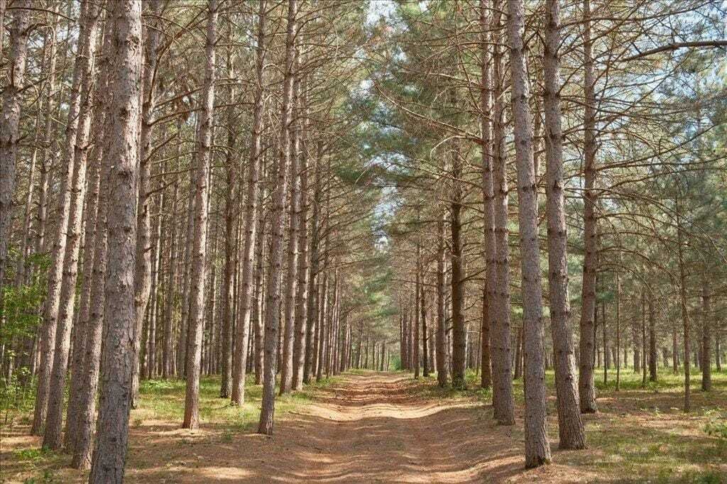 Land in Brainerd, Minnesota, United States 1 - 18564951