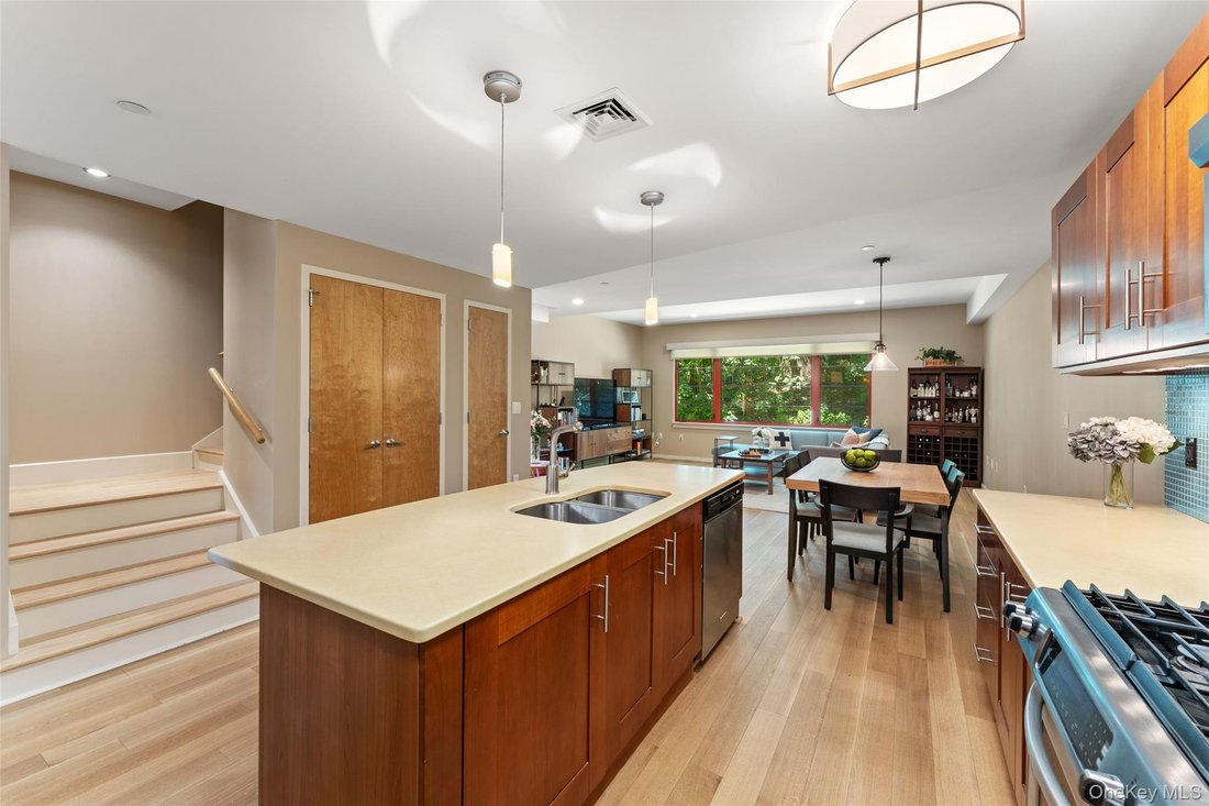 Condo in Hastings-on-Hudson, New York, United States 4 - 18561308