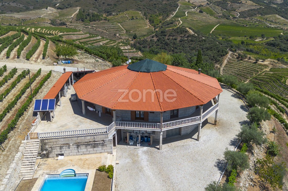 Finca in Valongo dos Azeites, Viseu District, Portugal 5 - 18563391