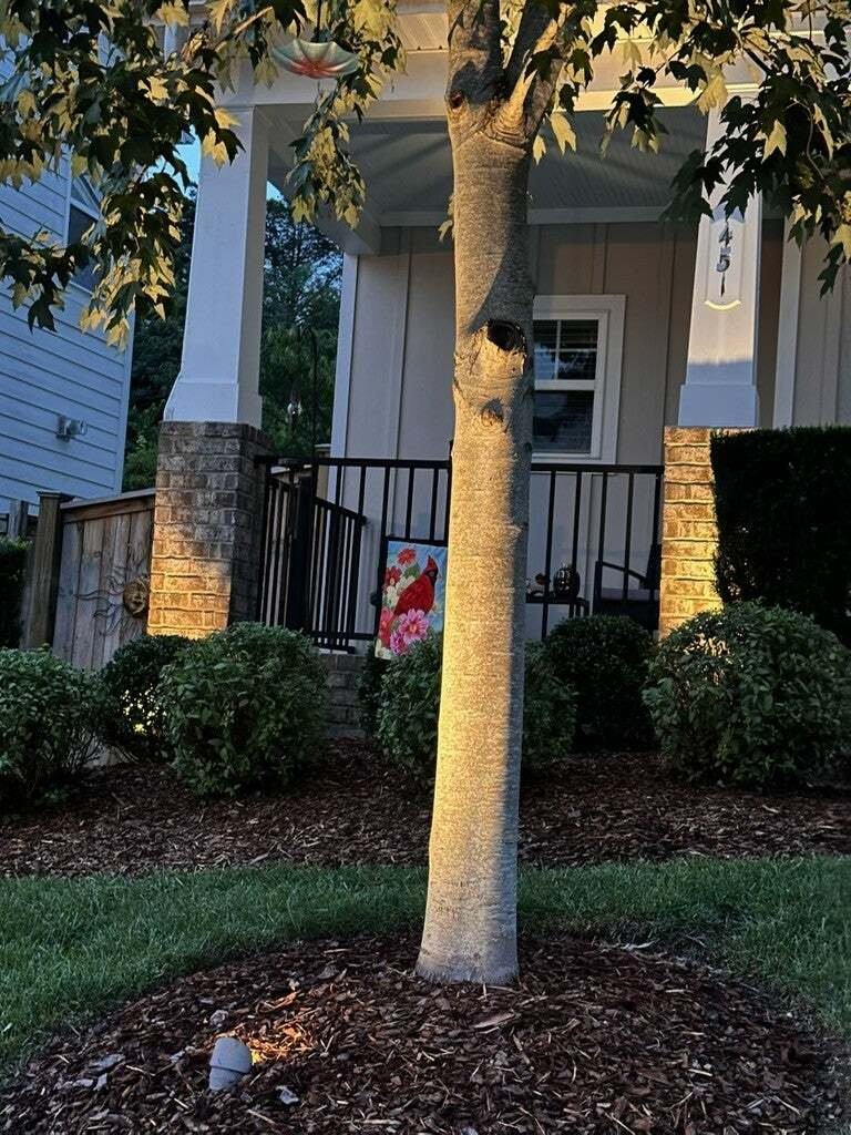 House in Nashville, Tennessee, United States 4 - 18481344