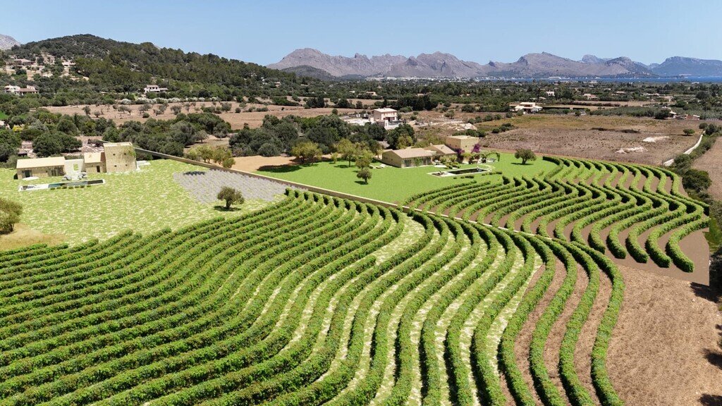Finca en Pollensa, Islas Baleares, España 4 - 18558420