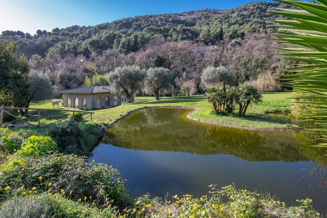 Estate in Gorbio, Provence-Alpes-Côte d'Azur, France 3 - 18559820