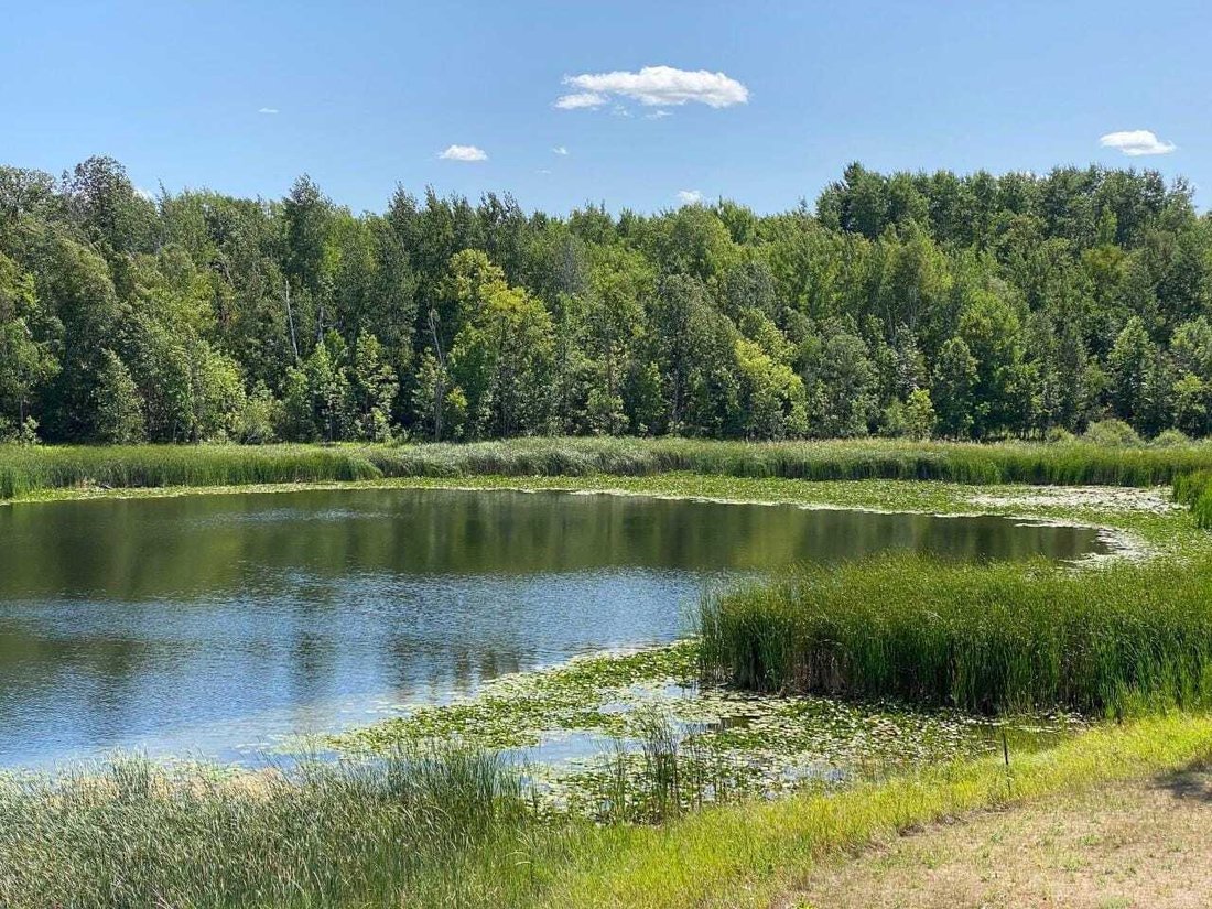 Land in Clearbrook, Minnesota, United States 5 - 18565021