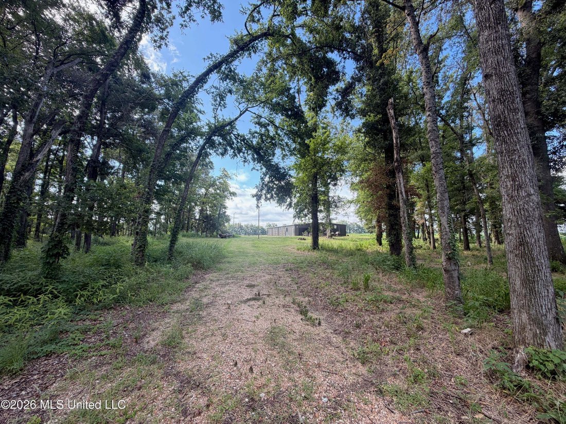 Greenwood, Mississippi, United States 5 - 18560907