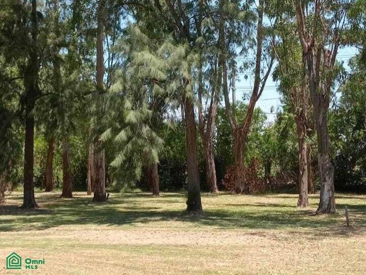 Land in Ingeniero Maschwitz, Buenos Aires Province, Argentina 3 - 17814544