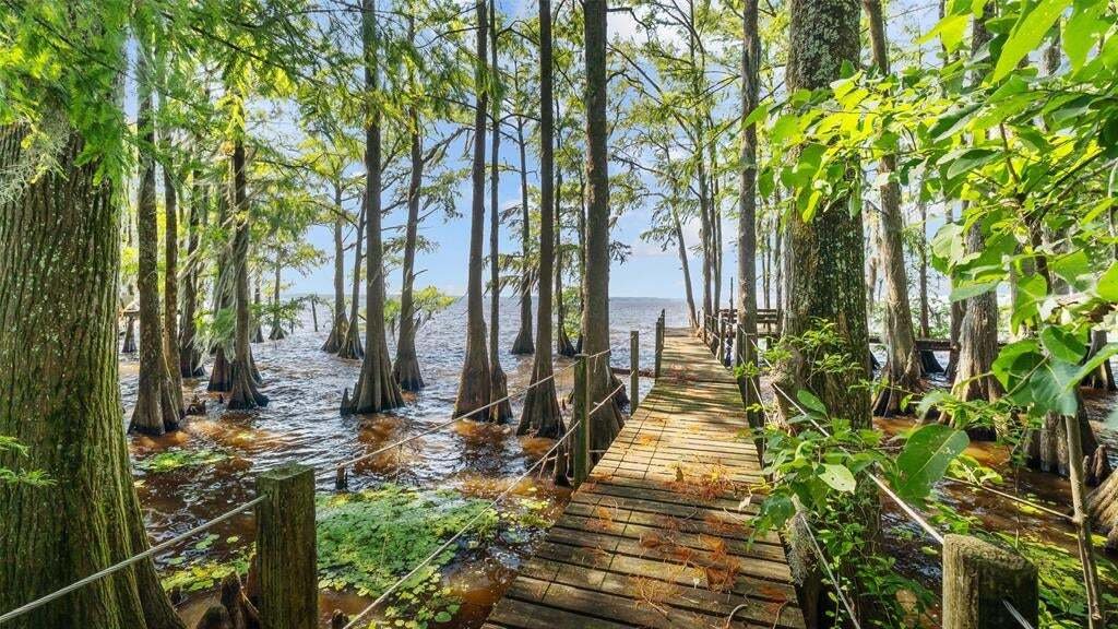 House in Mooringsport, Louisiana, United States 2 - 18562898