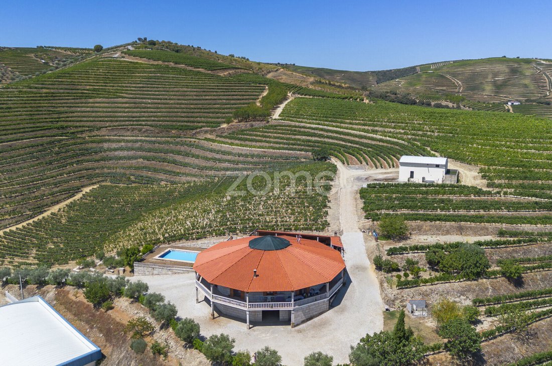Finca in Valongo dos Azeites, Viseu District, Portugal 4 - 18563391