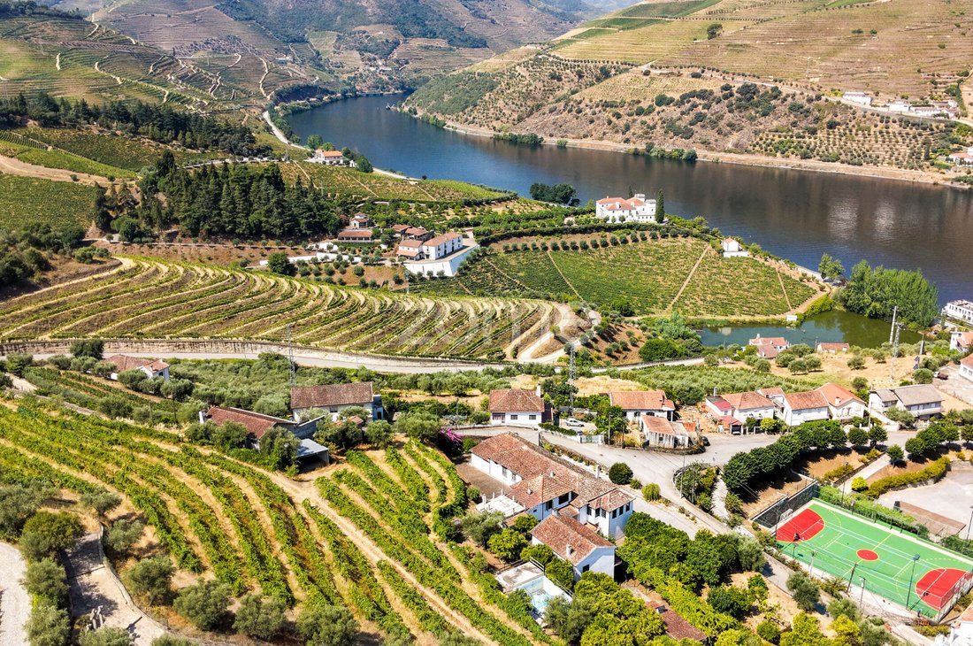 Finca in Folgosa, Viseu District, Portugal 3 - 18563451