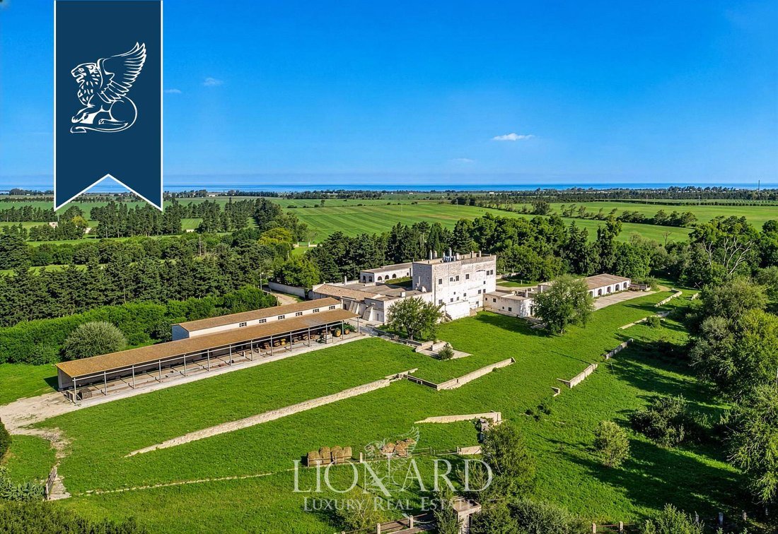 Villa in Minnuta - Paradiso, Brindisi, Apulia 2 - 16749570