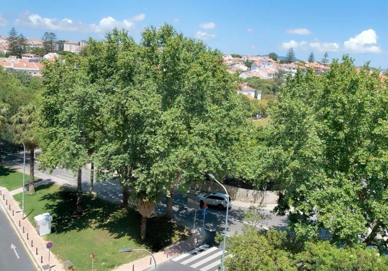 Apartment in Oeiras e Sao Juliao da Barra, Paco de Arcos e Caxias, Lisbon, Portugal 3 - 18566211