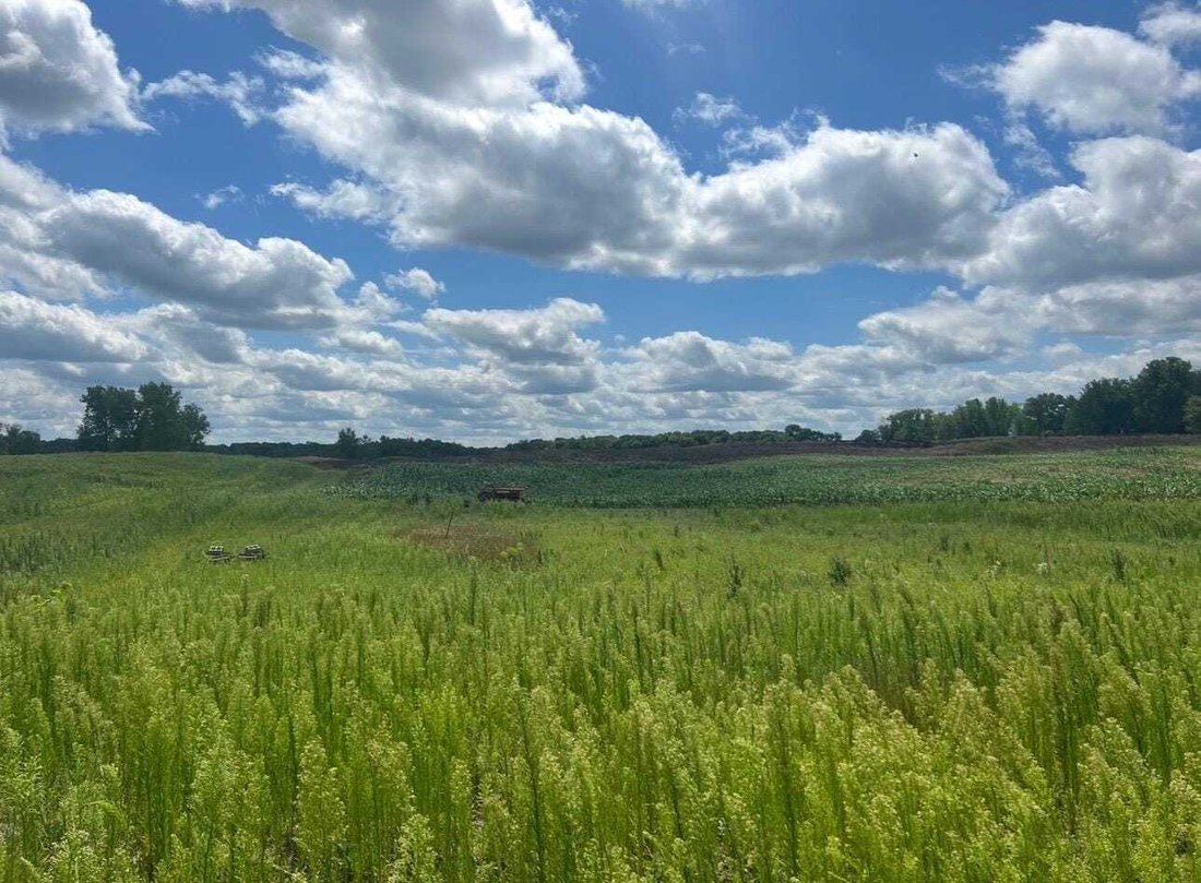 Land in Forest Lake, Minnesota, United States 2 - 18564668