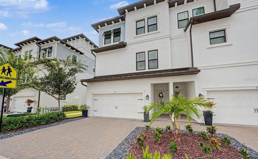 House in Tampa, Florida, United States 1