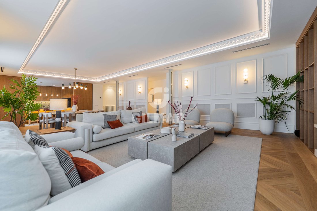 Apartment in Barrio Salamanca, Madrid, Spain 1 - 18566090