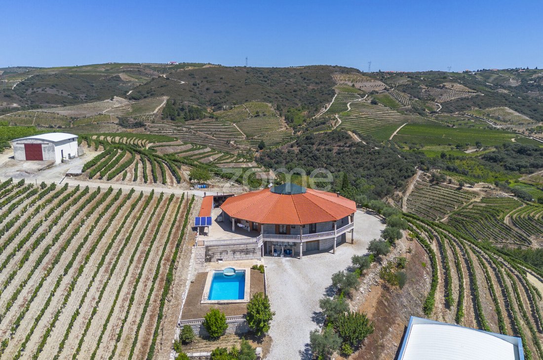 Finca in Valongo dos Azeites, Viseu District, Portugal 2 - 18563391
