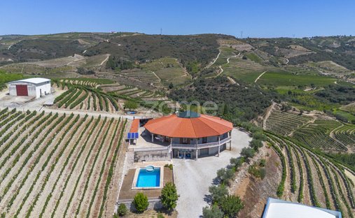 Finca a Valongo dos Azeites, Distretto di Viseu, Portogallo 1