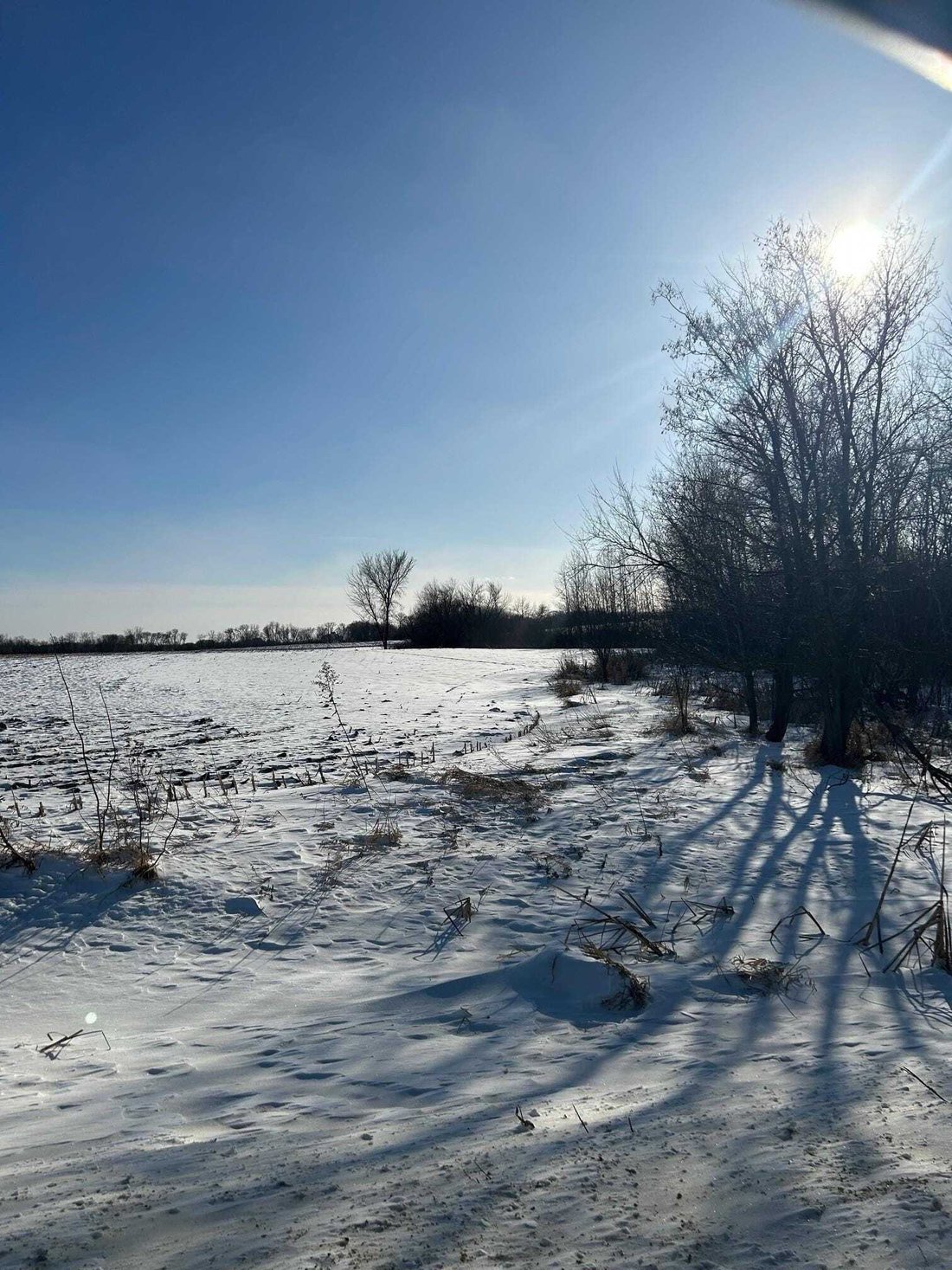 Land in Northfield, Minnesota, United States 2 - 18564996