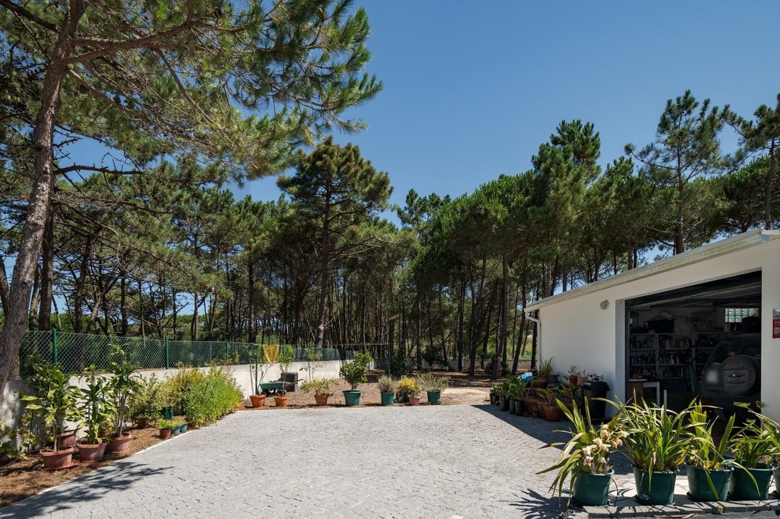 Land in São João das Lampas, Lisbon, Portugal 5 - 18566096