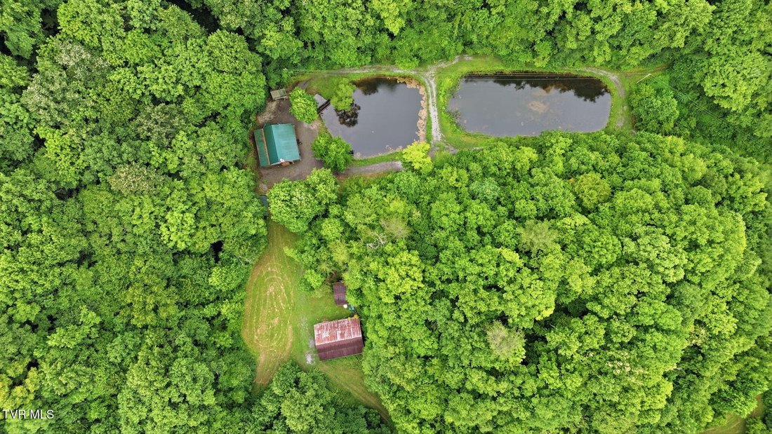 House in Duffield, Virginia, United States 5 - 18558036