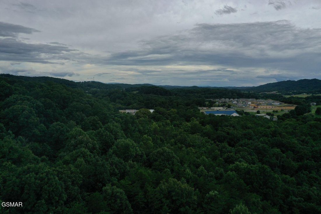 Farm Ranch in Sevierville, Tennessee, United States 3 - 18565291