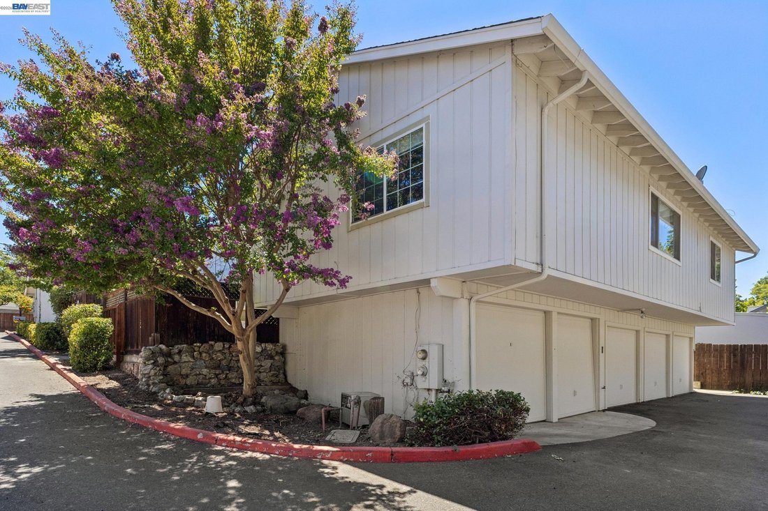 Pleasanton, California, United States 4 - 18561552