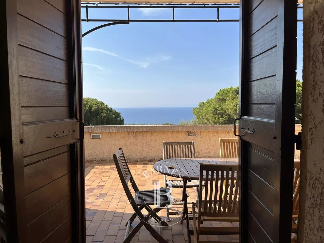 Villa in Corbara, Corsica, France 2 - 18559737