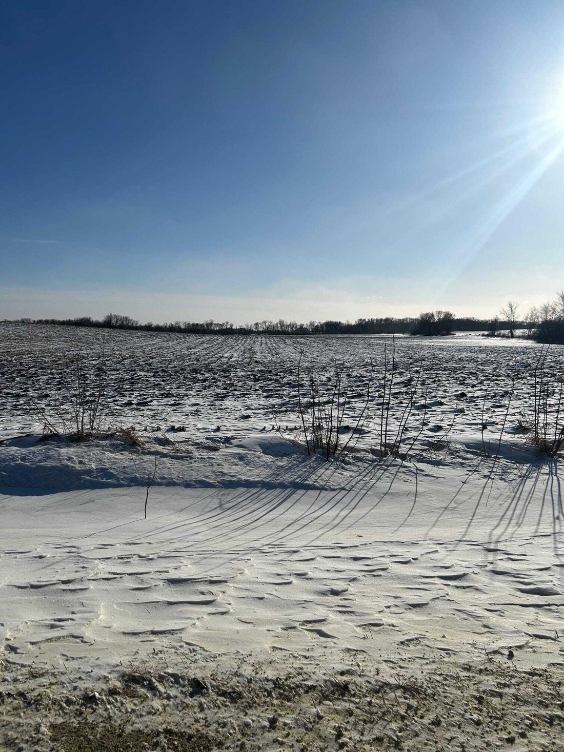 Land in Northfield, Minnesota, United States 4 - 18564996