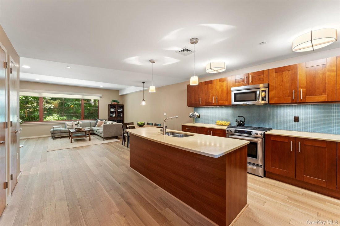 Condo in Hastings-on-Hudson, New York, United States 3 - 18561308